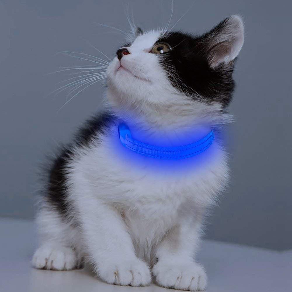 LED Dog Collar Rechargeable - Light up Dog Collar Reflective Glowing Pet Collars, Adjustable Puppy Collar Safety Dog Lights for Night Walking for Small Dogs& Cats (XS, Royal Blue)