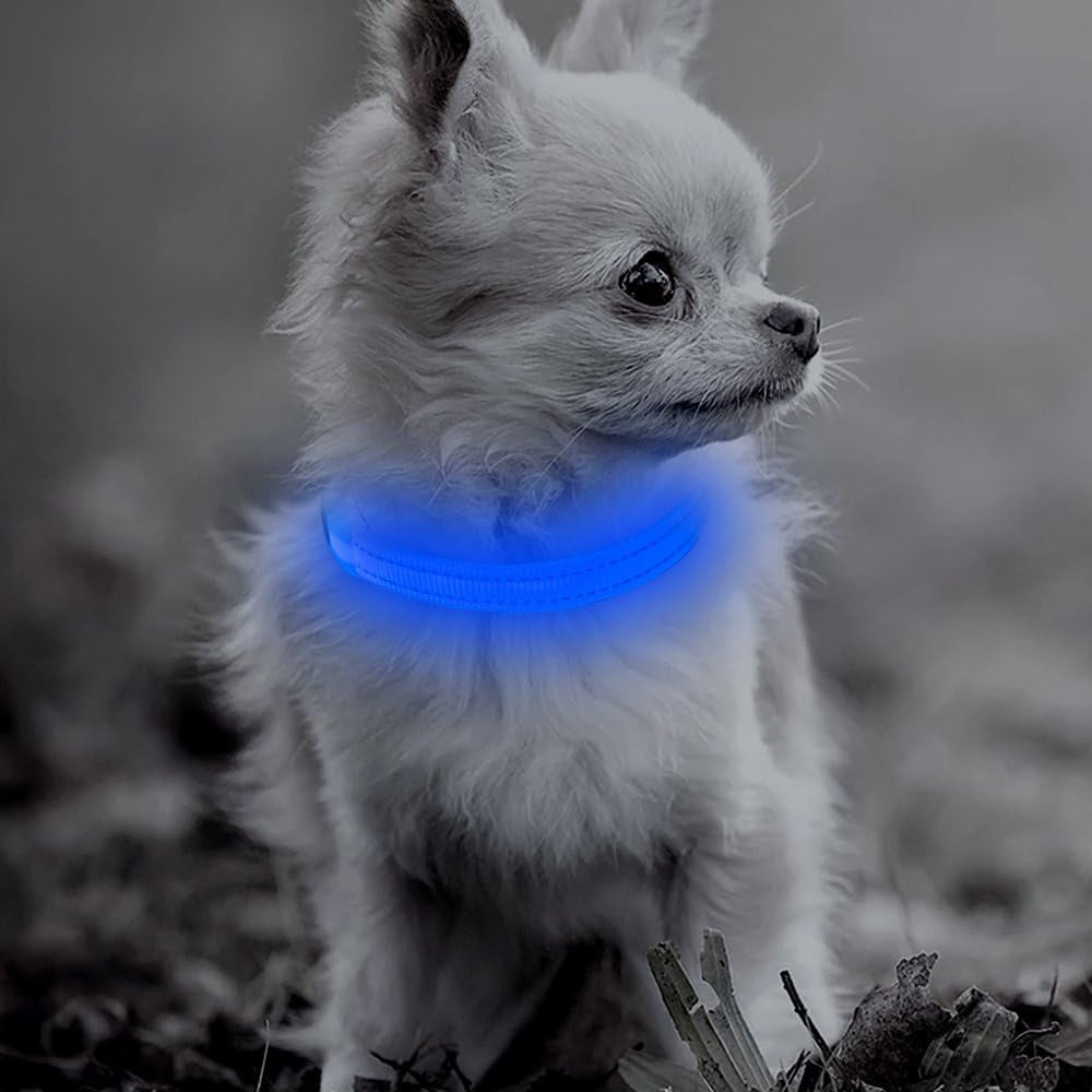 LED Dog Collar Rechargeable - Light up Dog Collar Reflective Glowing Pet Collars, Adjustable Puppy Collar Safety Dog Lights for Night Walking for Small Dogs& Cats (XS, Royal Blue)