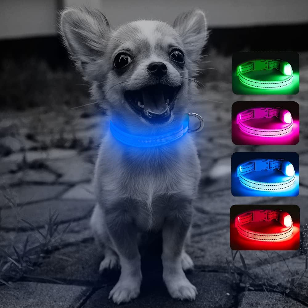 LED Dog Collar Rechargeable - Light up Dog Collar Reflective Glowing Pet Collars, Adjustable Puppy Collar Safety Dog Lights for Night Walking for Small Dogs& Cats (XS, Royal Blue)