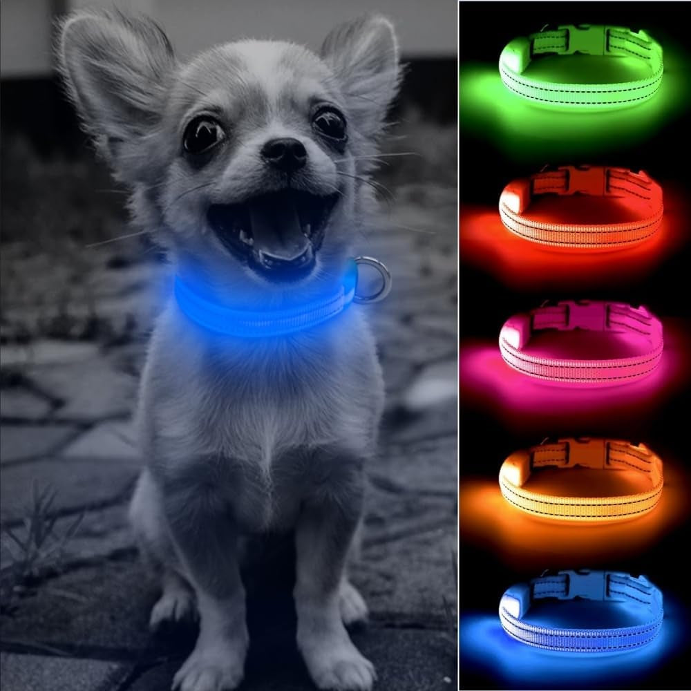 LED Dog Collar Rechargeable - Light up Dog Collar Reflective Glowing Pet Collars, Adjustable Puppy Collar Safety Dog Lights for Night Walking for Small Dogs& Cats (XS, Royal Blue)